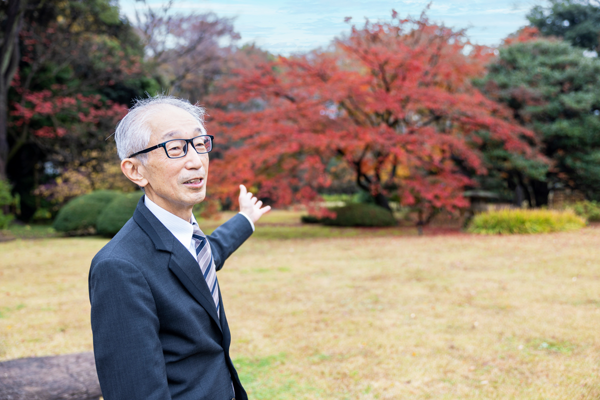 観光タクシードライバー湯川さんのガイドで行く!東京都内の名所・紅葉スポット